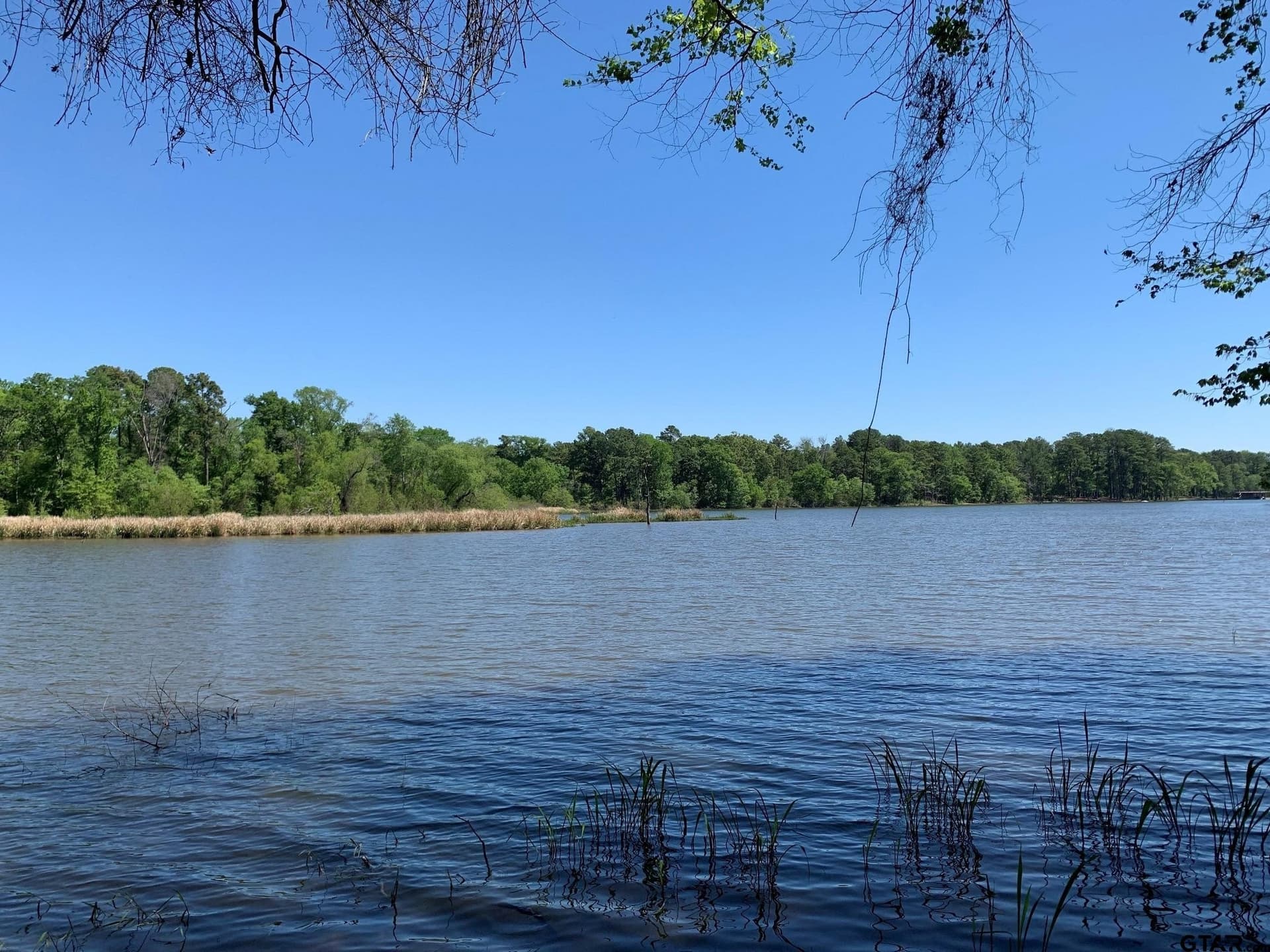 42.53 acres in Henderson County - photo 5