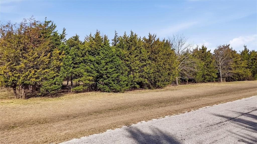 1 acres in Grayson County - photo 23