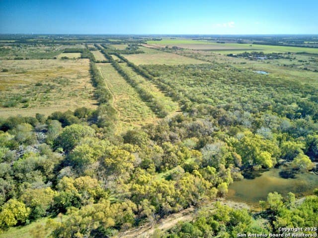 30.83 acres in Guadalupe County - photo 8