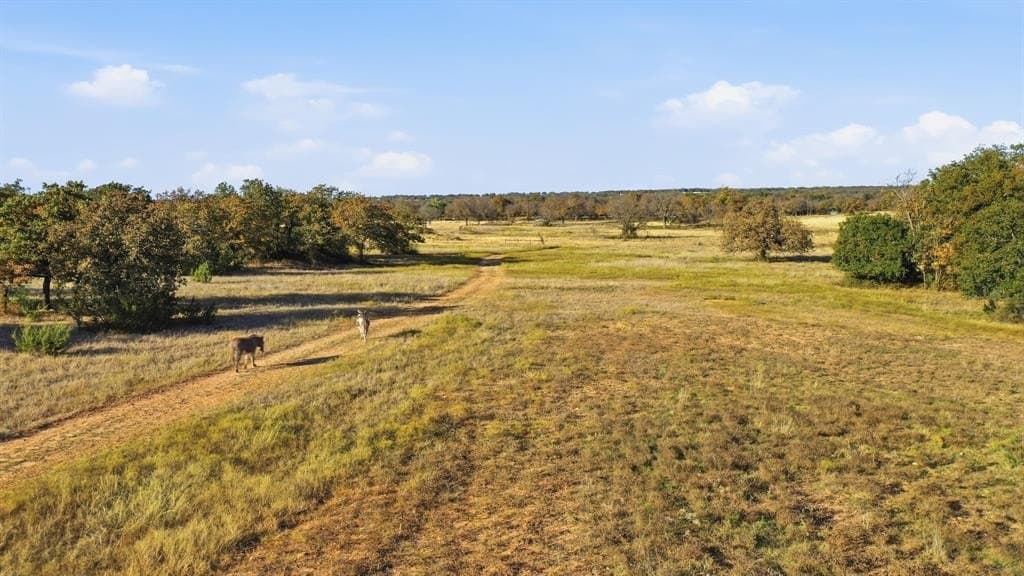 15 acres in Hood County - photo 5