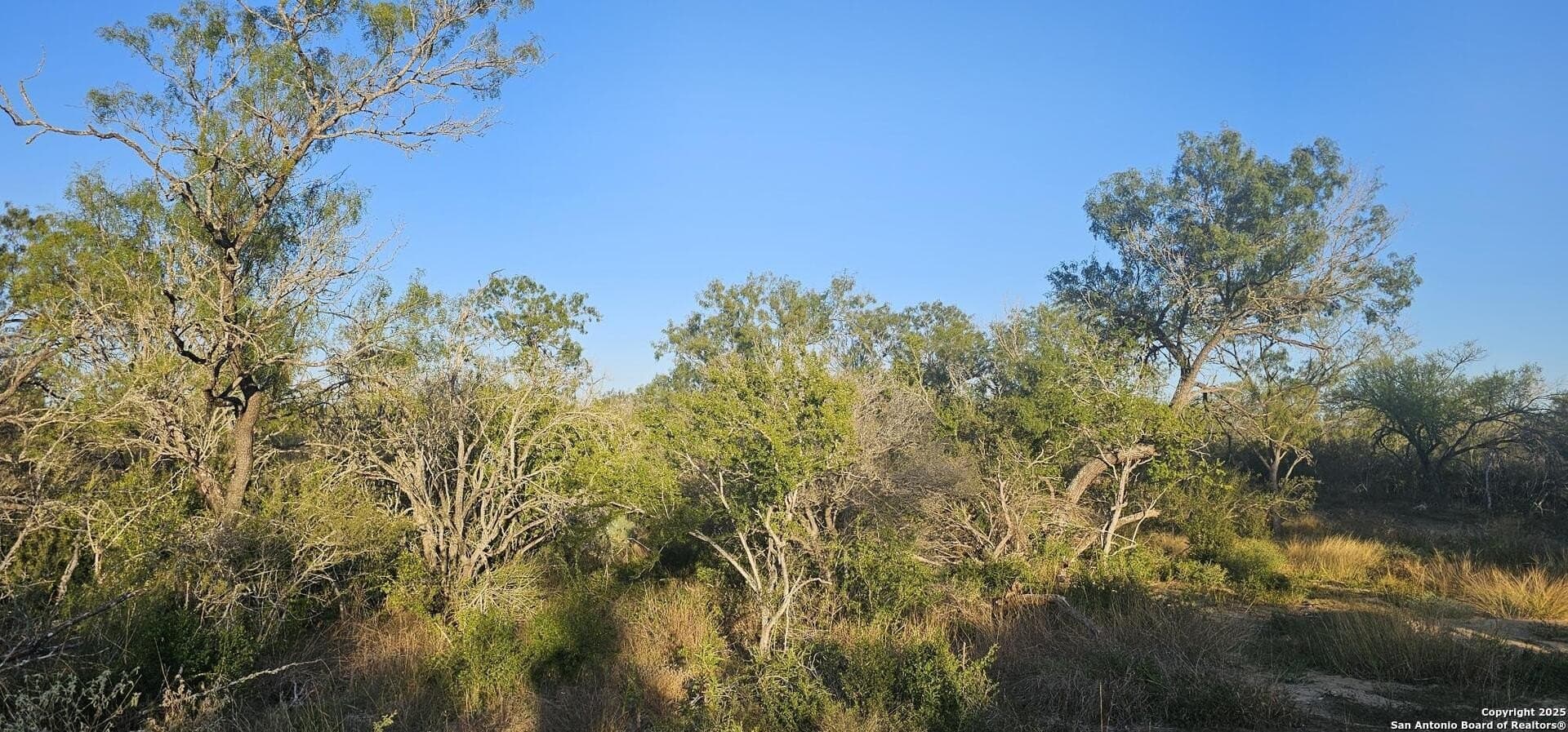 1.28 acres in Atascosa County - photo 14