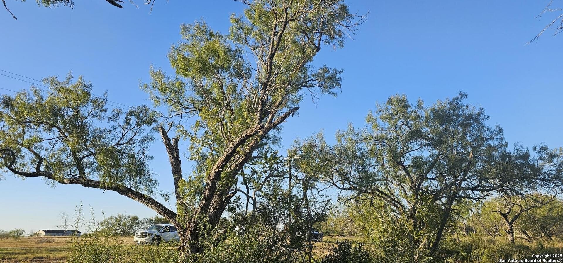 1.28 acres in Atascosa County - photo 12