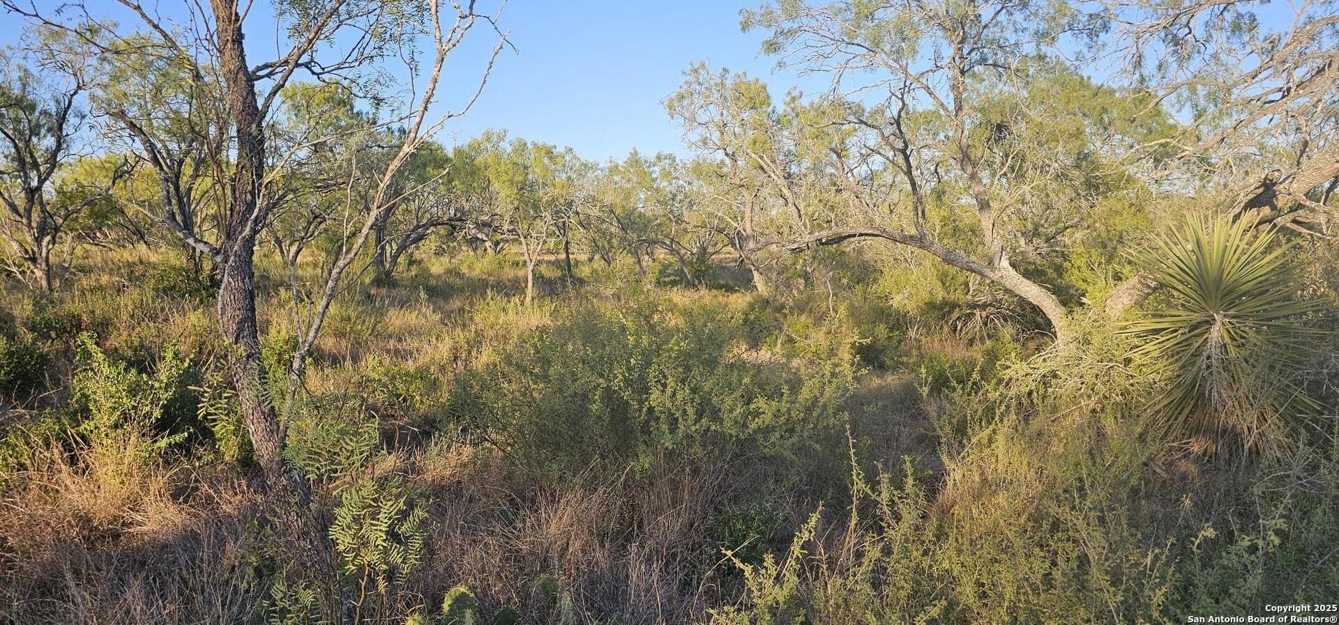 1.28 acres in Atascosa County - photo 2