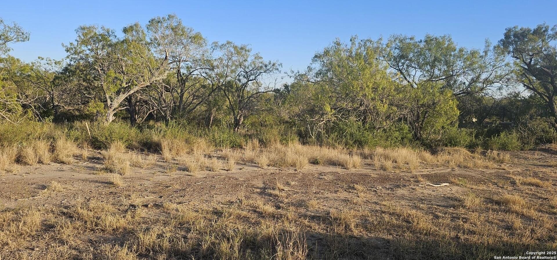 1.28 acres in Atascosa County - photo 8