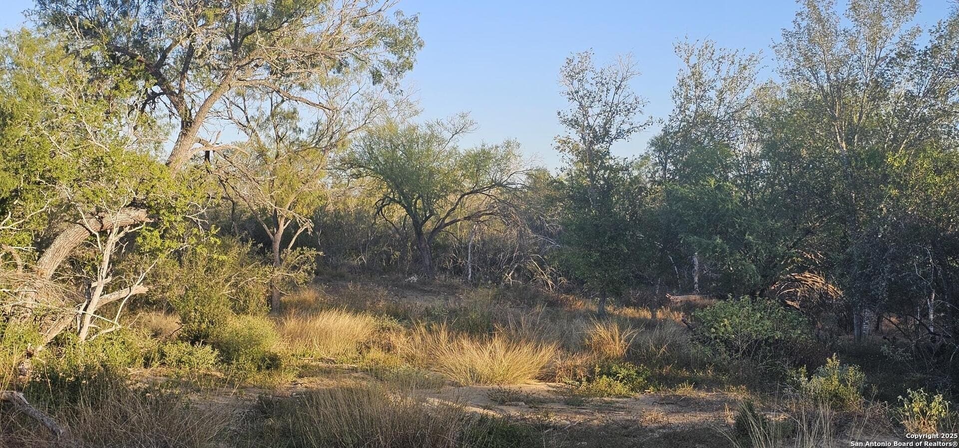 1.28 acres in Atascosa County - photo 3
