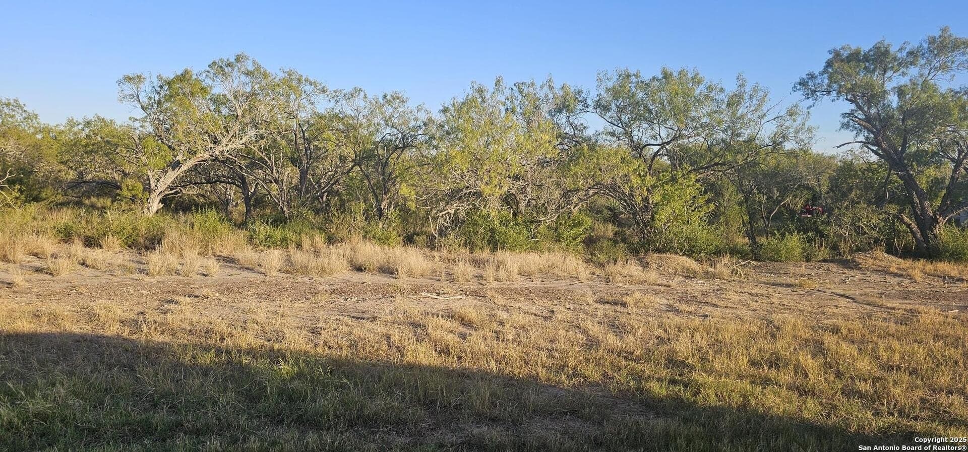 1.28 acres in Atascosa County - photo 7