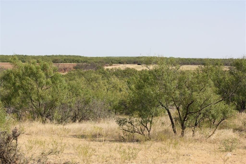 319 acres in Baylor County - photo 14