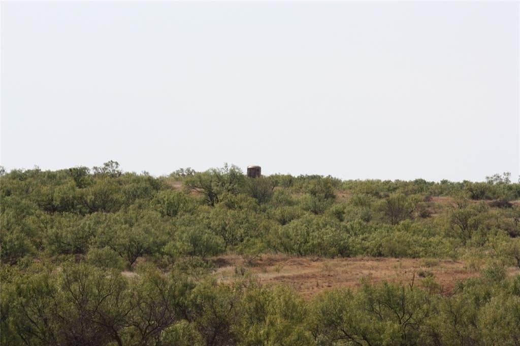 319 acres in Baylor County - photo 26