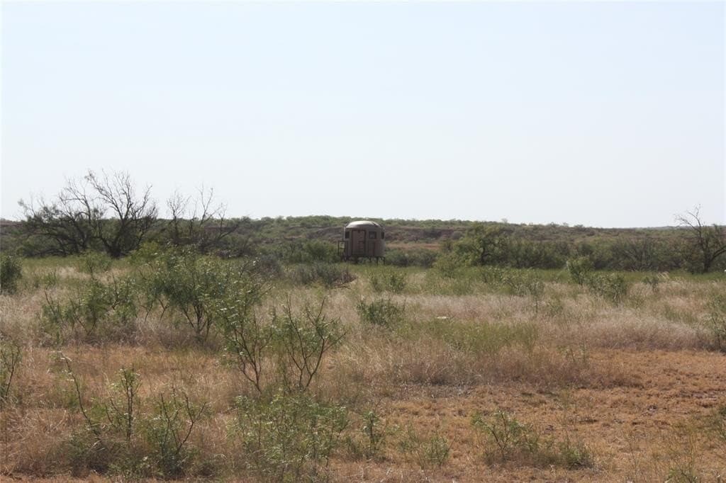 319 acres in Baylor County - photo 7