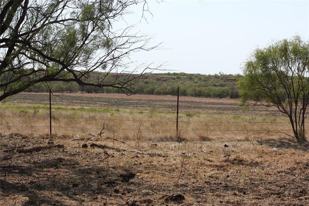 319 acres in Baylor County - photo 16