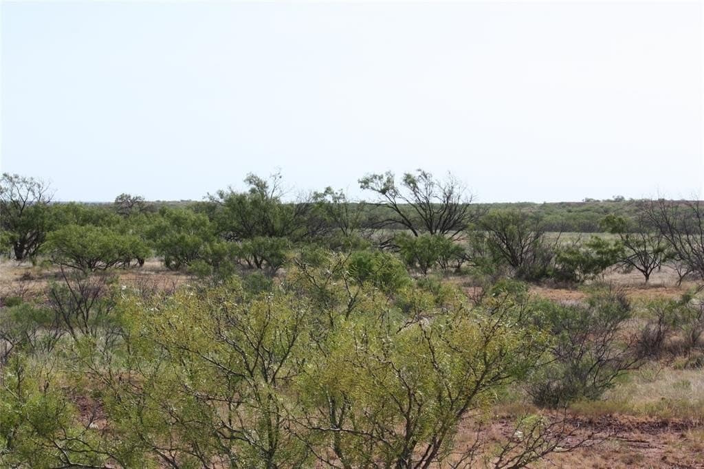 319 acres in Baylor County - photo 24