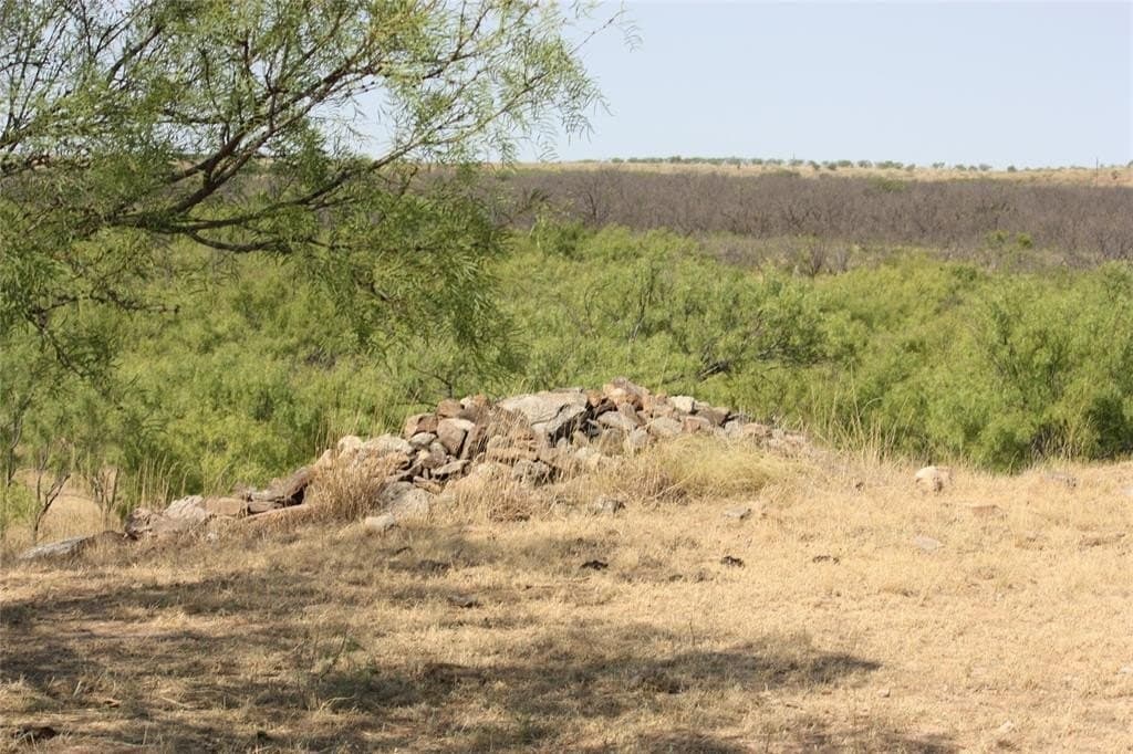 319 acres in Baylor County - photo 13