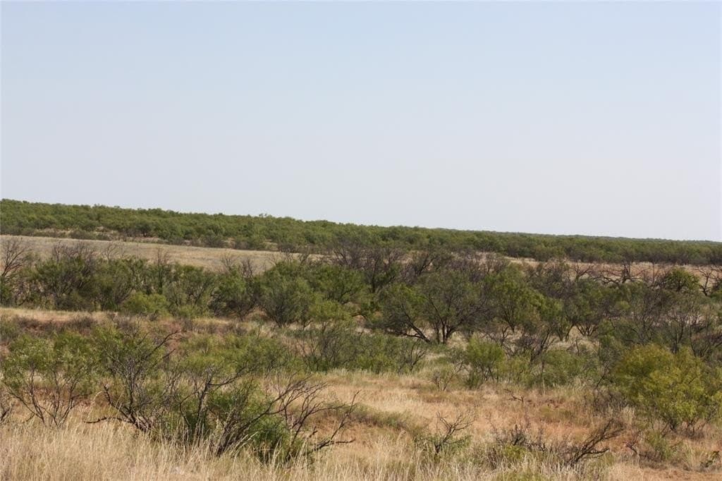 319 acres in Baylor County - photo 23