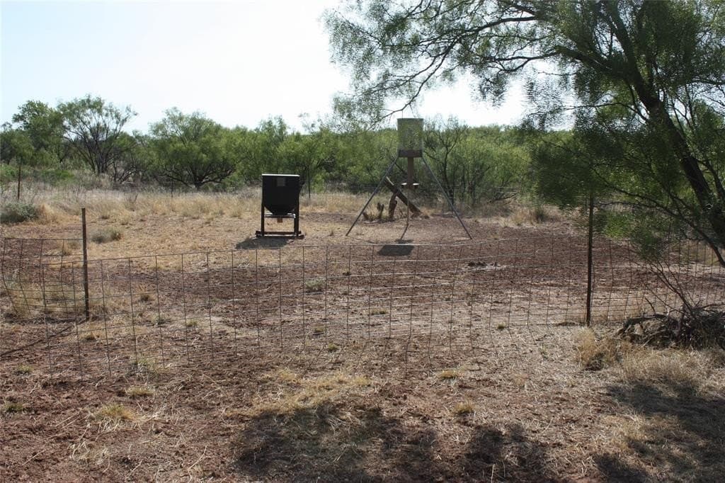 319 acres in Baylor County - photo 3