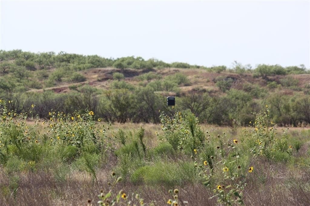 319 acres in Baylor County - photo 25