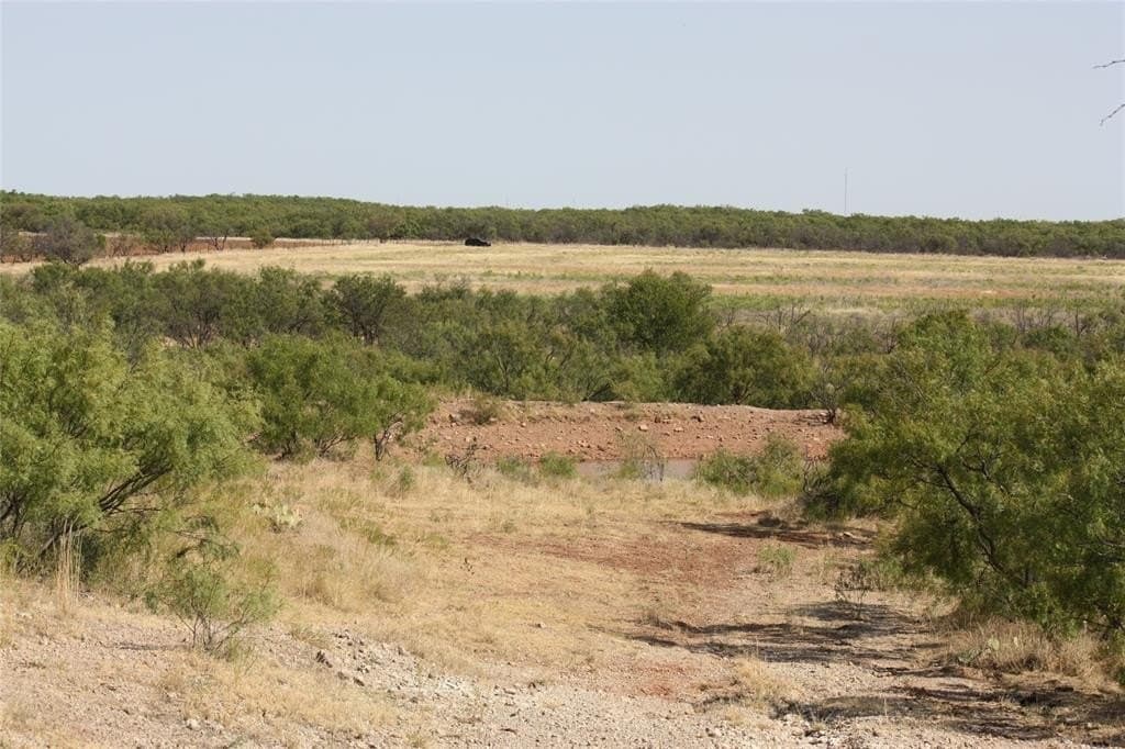 319 acres in Baylor County - photo 18