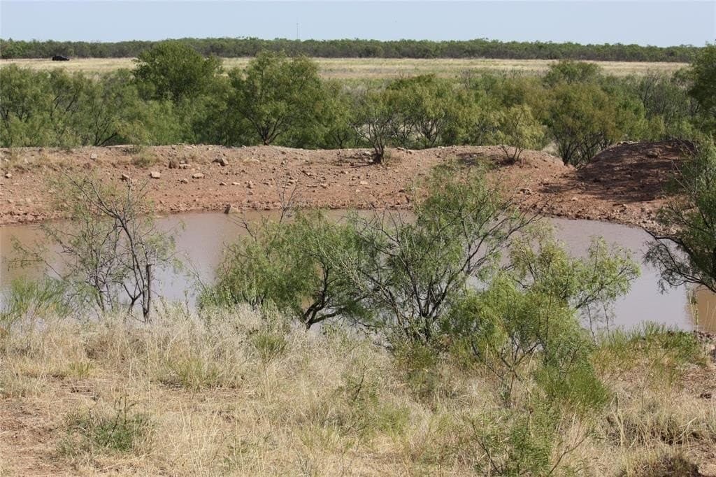319 acres in Baylor County - photo 21
