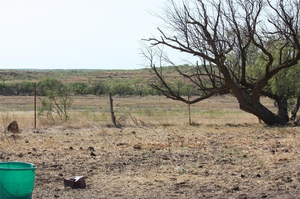 319 acres in Baylor County - photo 17