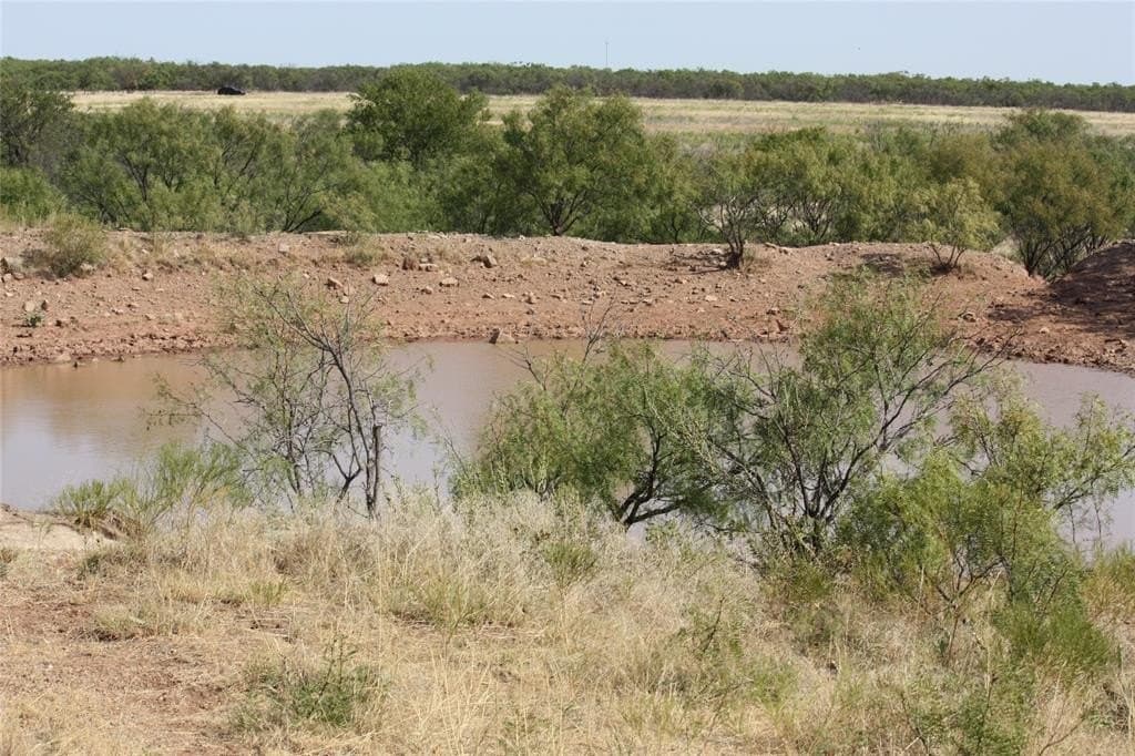 319 acres in Baylor County - photo 19