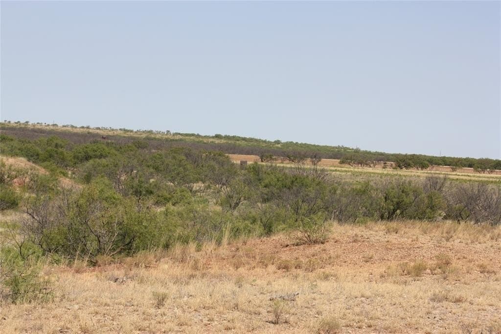 319 acres in Baylor County - photo 22