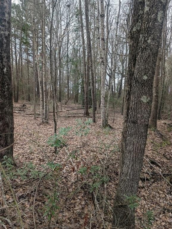 2.65 acres in Wood County - photo 3