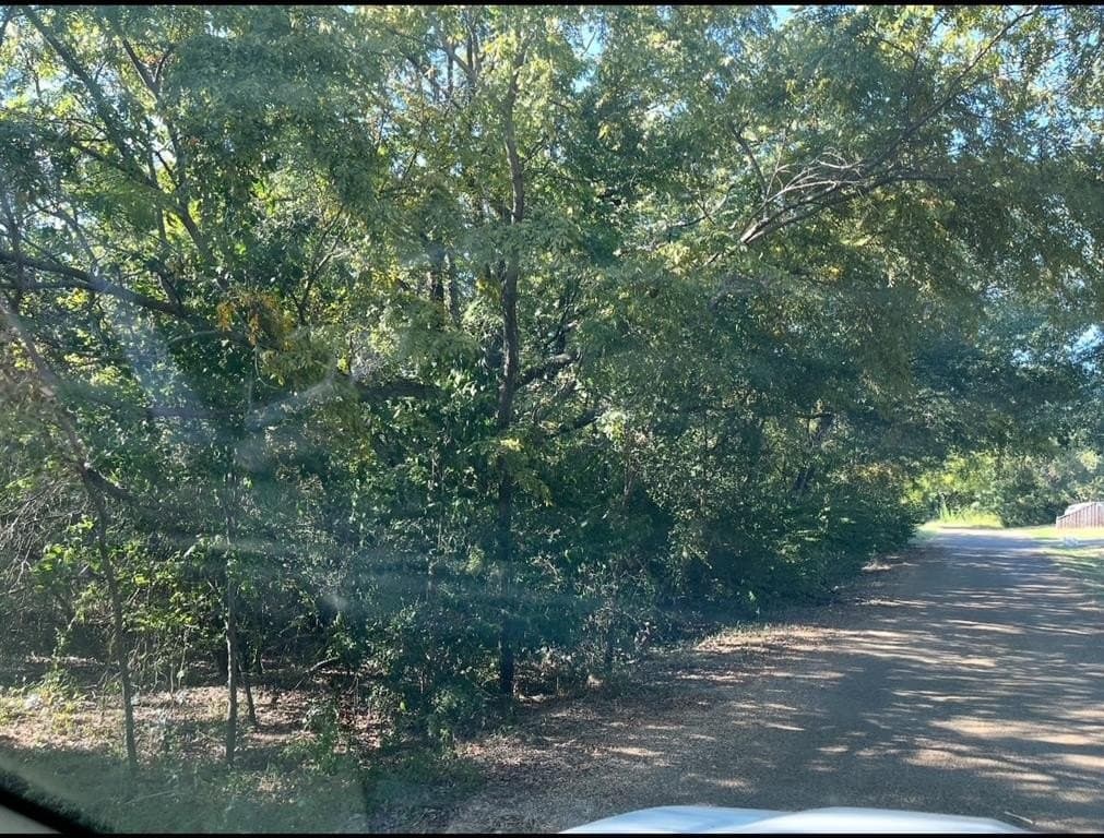 0.62 acres in Henderson County - photo 3
