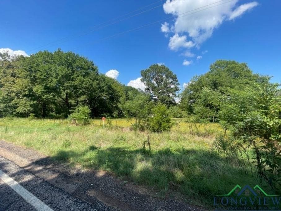 14.36 acres in Camp County - photo 4