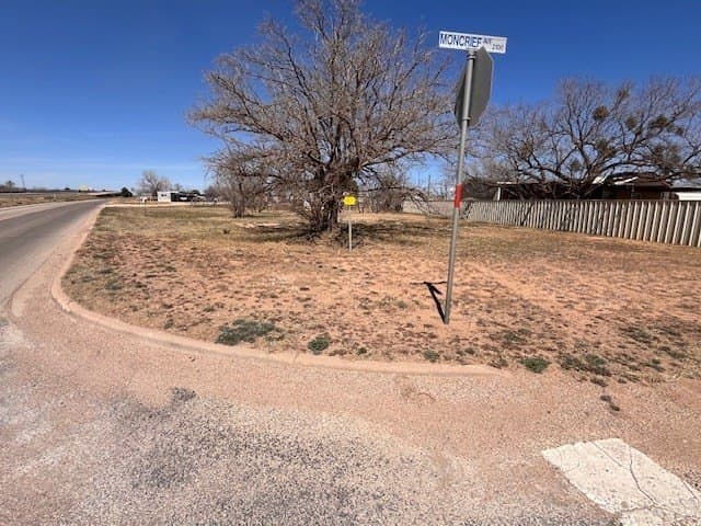 0.22 acres in Scurry County - photo 2