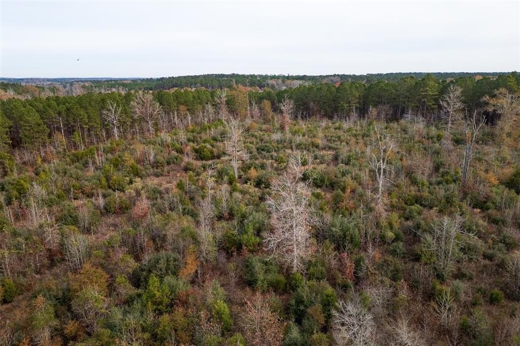 124.3 acres in Nacogdoches County - photo 5