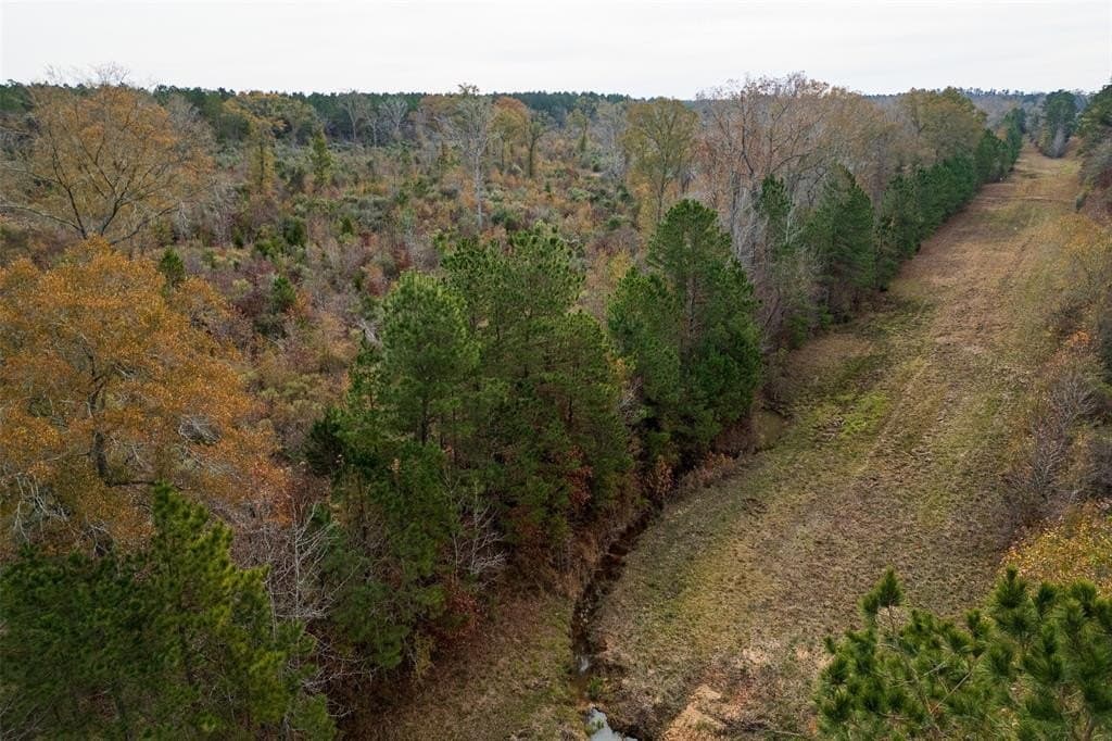 124.3 acres in Nacogdoches County - photo 3