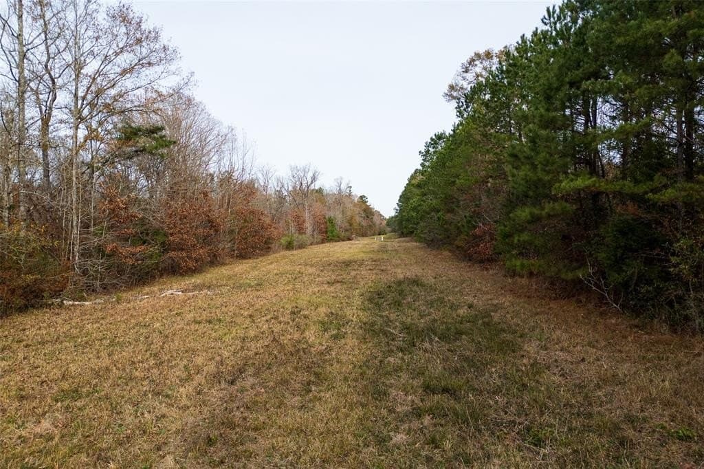 124.3 acres in Nacogdoches County - photo 4