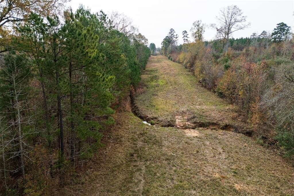 124.3 acres in Nacogdoches County - photo 17