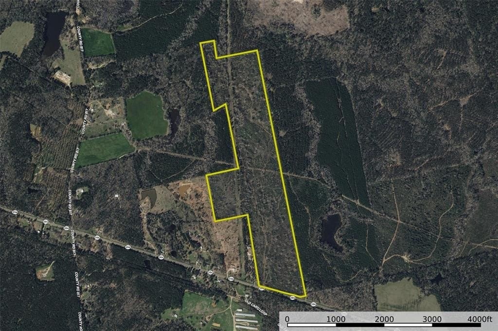 124.3 acres in Nacogdoches County - photo 18