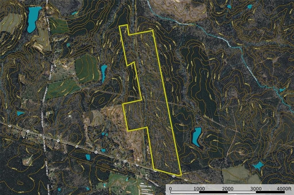124.3 acres in Nacogdoches County - photo 19