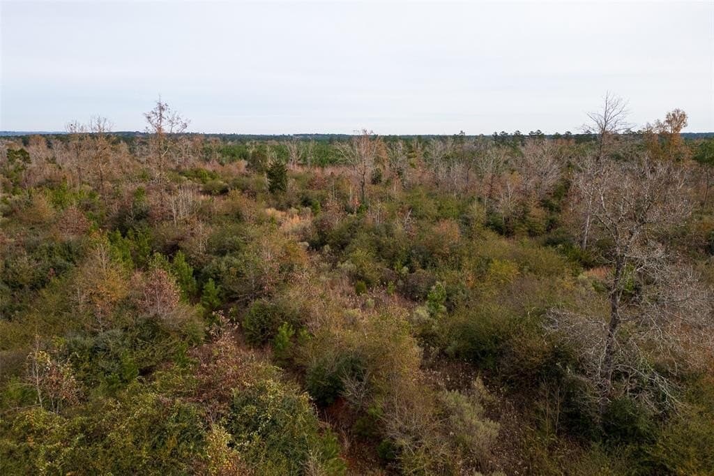 124.3 acres in Nacogdoches County - photo 8
