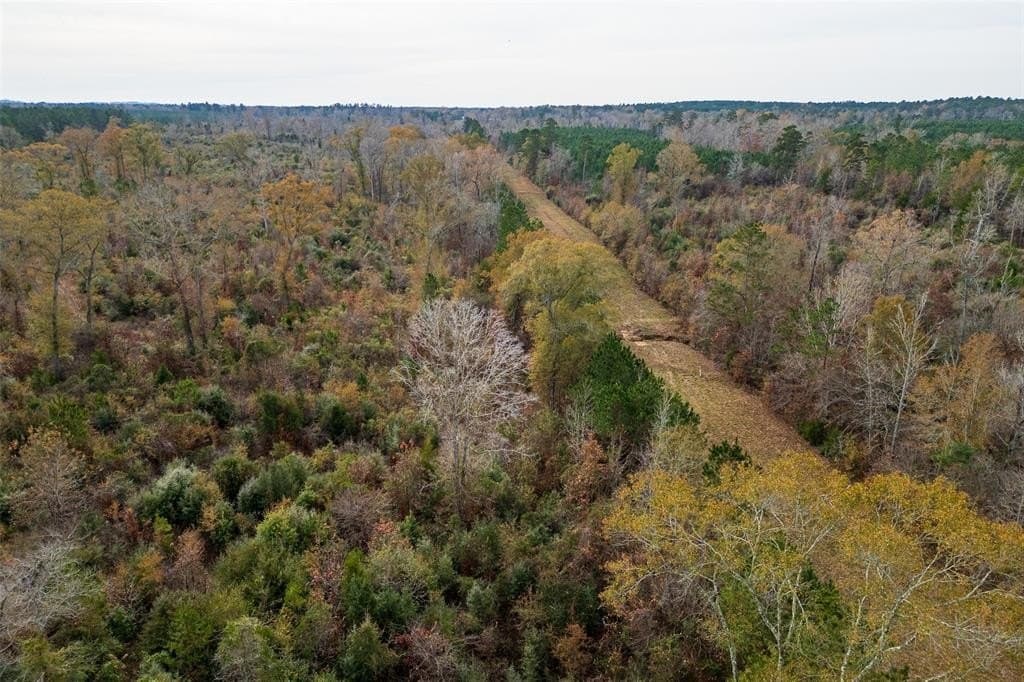 124.3 acres in Nacogdoches County - photo 2