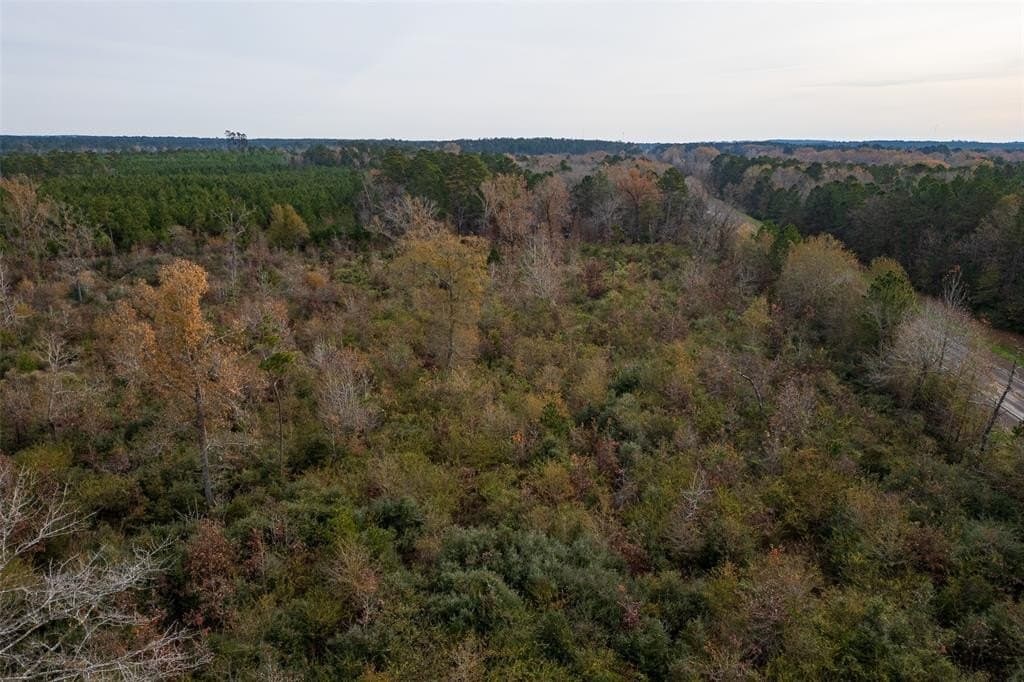 124.3 acres in Nacogdoches County - photo 12