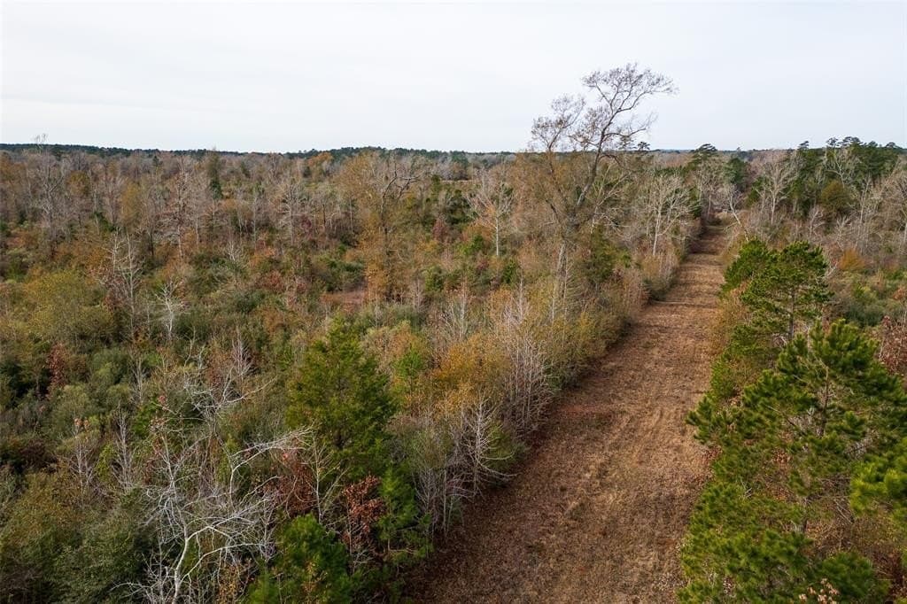124.3 acres in Nacogdoches County - photo 15