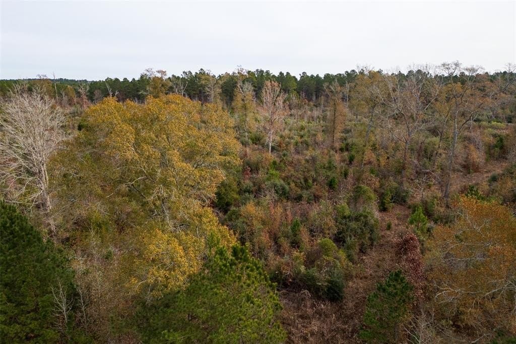 124.3 acres in Nacogdoches County - photo 6
