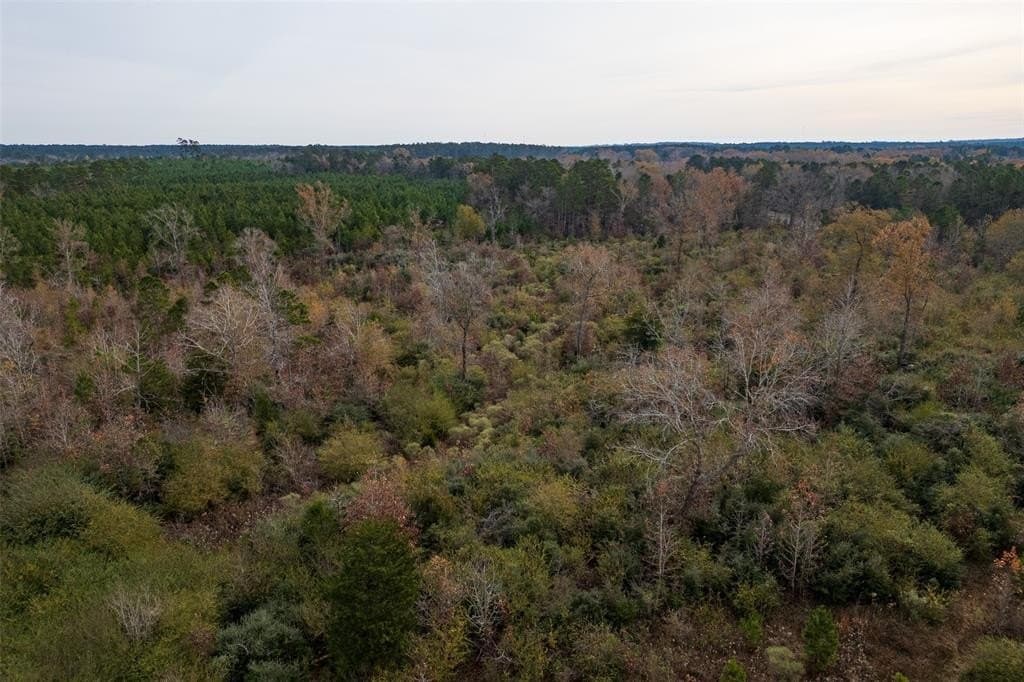 124.3 acres in Nacogdoches County - photo 11