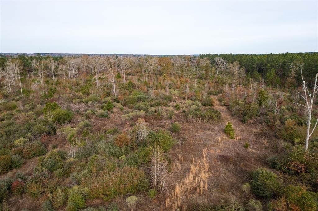 124.3 acres in Nacogdoches County - photo 16