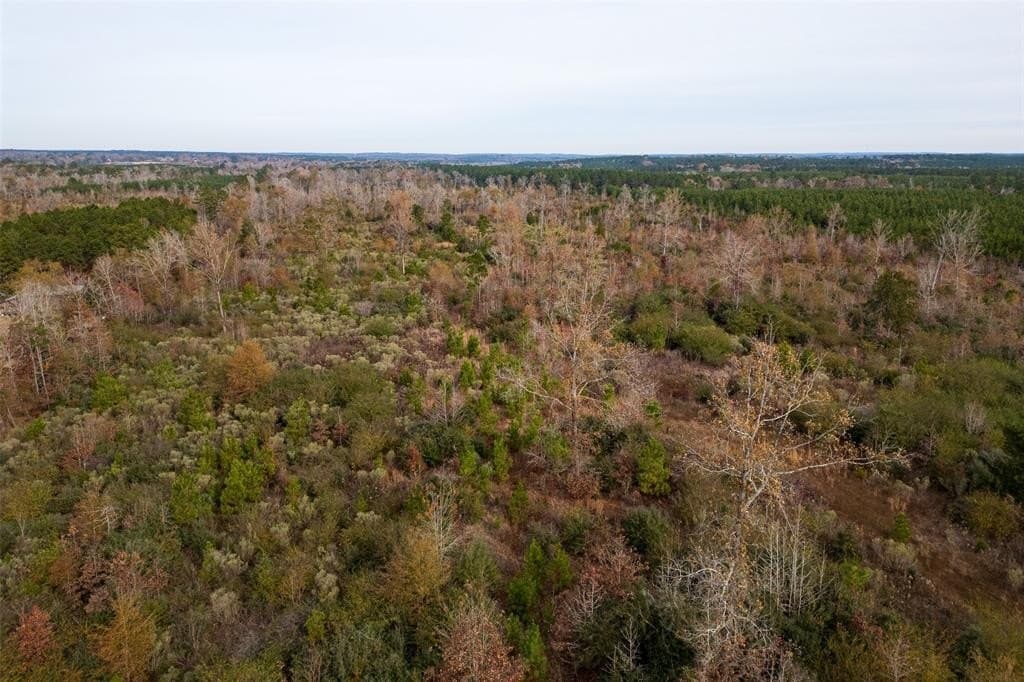 124.3 acres in Nacogdoches County - photo 9