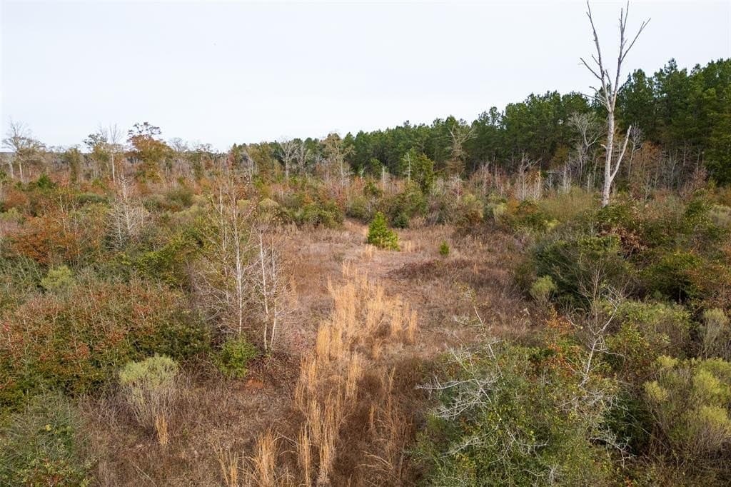 124.3 acres in Nacogdoches County - photo 13