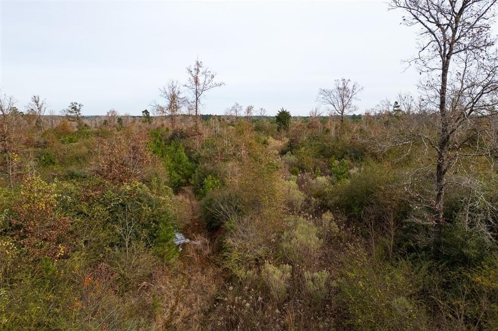 124.3 acres in Nacogdoches County - photo 7