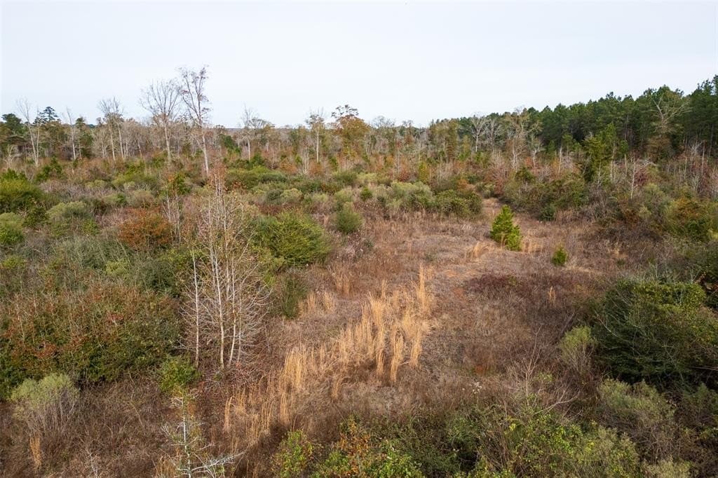 124.3 acres in Nacogdoches County - photo 14