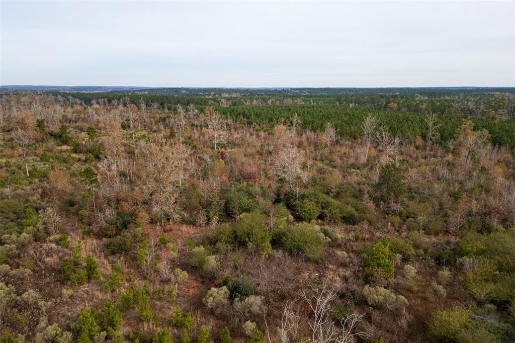124.3 acres in Nacogdoches County - photo 10