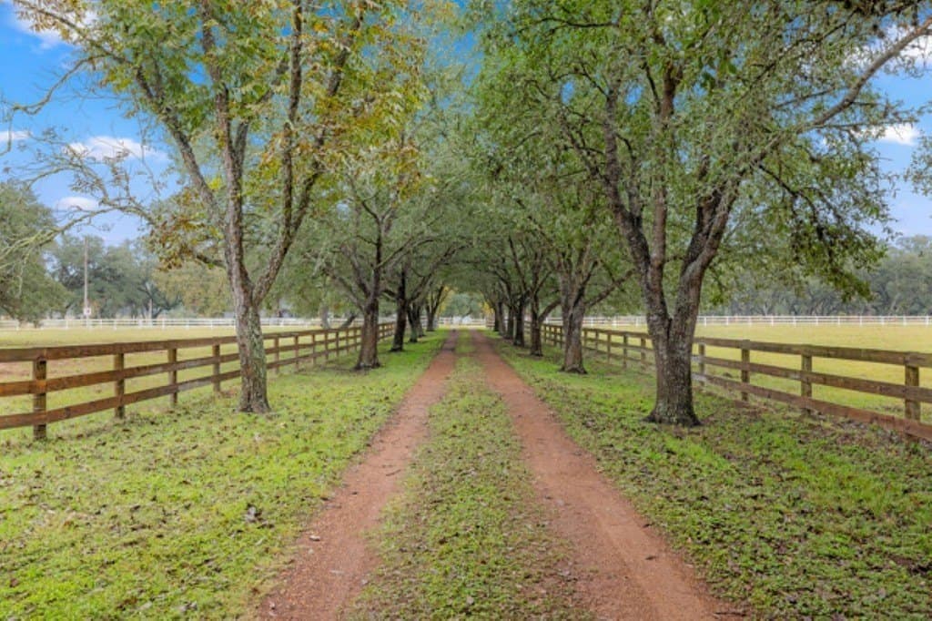 60 acres in Colorado County - photo 3