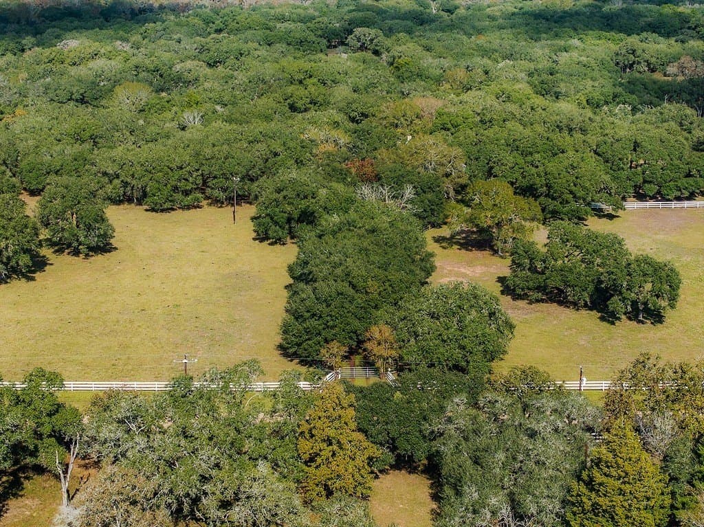 60 acres in Colorado County - photo 26