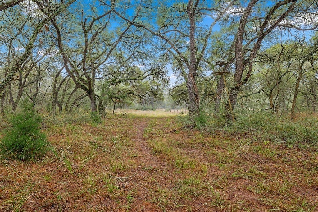 60 acres in Colorado County - photo 22