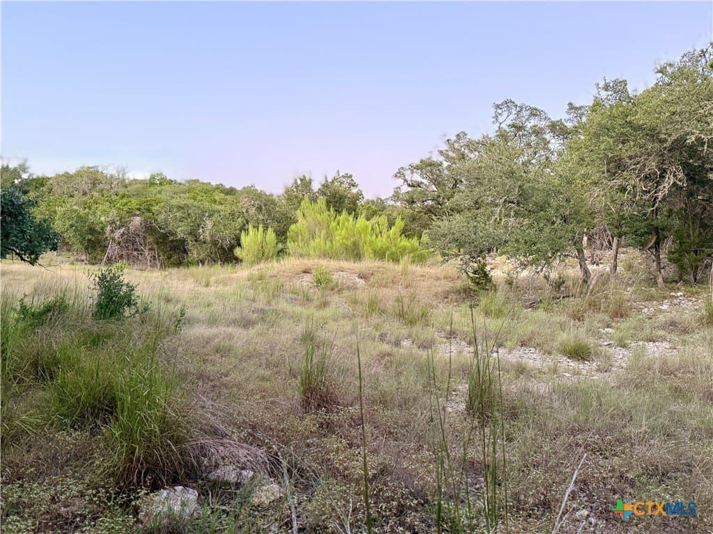 2 acres in Comal County - photo 4